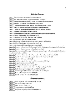 Le complexe du canal sodique cardiaque Nav1.5