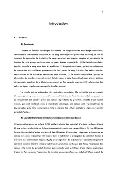 Le complexe du canal sodique cardiaque Nav1.5