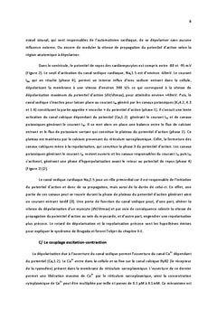 Le complexe du canal sodique cardiaque Nav1.5