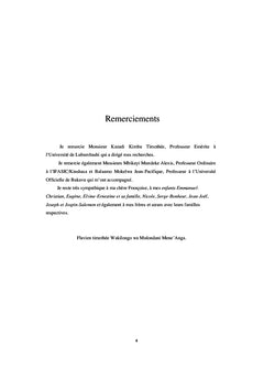 Le viol et les violences sexuelles au Sud-Kivu: Analyse d'une pratique