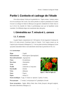Valorisation des huiles essentielles de Tagetes et de Lantana