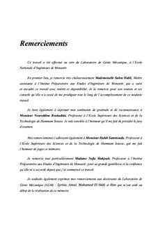 Modélisation numérique d'un jet plan turbulent en co-courant dirigé