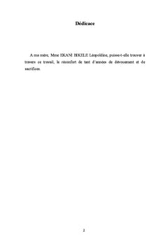 Responsabilite penale des personnes morales au Cameroun avant 2016