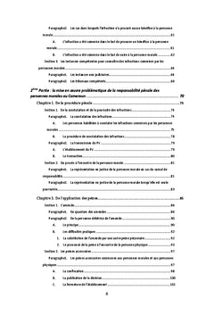 Responsabilite penale des personnes morales au Cameroun avant 2016