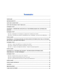 Le contrôle de gestion face aux technologies d'information