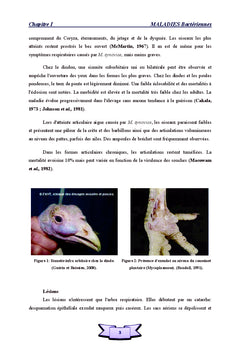 Dominantes pathologiques des volailles