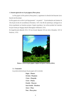 Adaptation des semis de Pin pignon au stress combiné hydrique et thermique