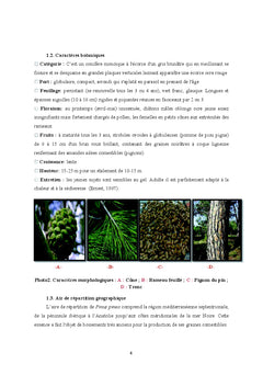 Adaptation des semis de Pin pignon au stress combiné hydrique et thermique