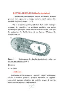 Utilisation de Bacillus thuringiensis comme bio-insecticide