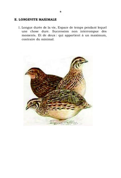 Les oeufs des cailles