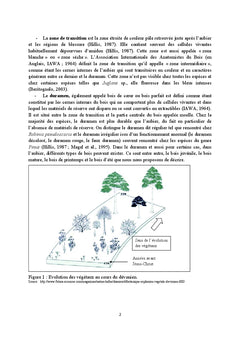 Déterminants biochimiques de la durabilité naturelle du bois de teck