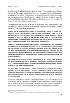 L'adhesion de l'Union europeenne A la CeDH