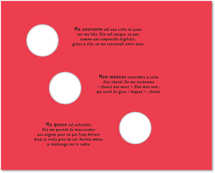 Qui suis-je ? Les animaux des mers