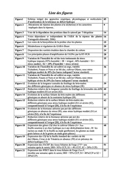 Expression de gènes impliqués dans la réponse au stress hydrique
