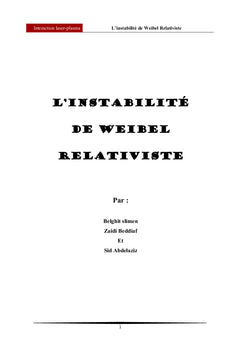 L'instabilite de Weibel Relativiste