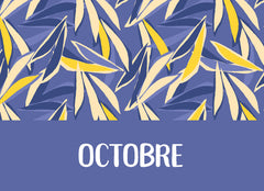 Mon année de prof d'élémentaire avec Lutin Bazar