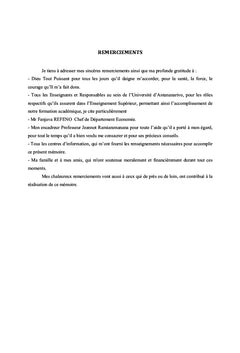 Investissement direct chinois à Madagascar : avantages et risques