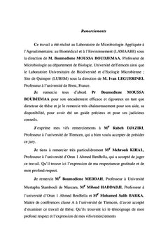 Bacillus cereus isolée de fromages fondus fabriqués en Algérie