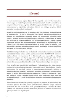 Modulation de l'attention chez les femmes par l'androstadienone