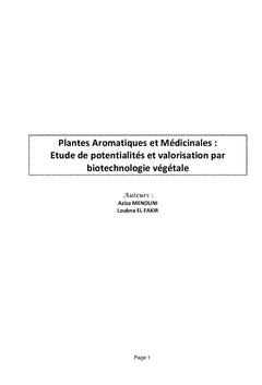 Plantes Aromatiques et Medicinales au Maroc