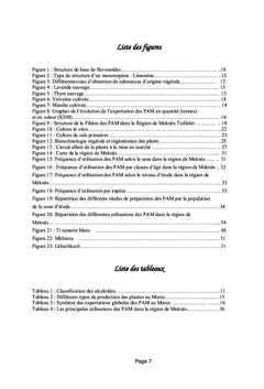 Plantes Aromatiques et Medicinales au Maroc