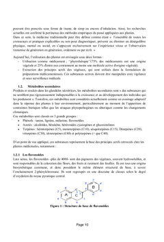Plantes Aromatiques et Medicinales au Maroc