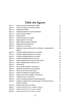 Mise en oeuvre d'un Data Warehouse marketing/ventes et logistique