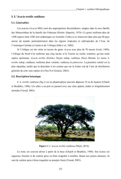 Les bruches ravageurs de l'Acacia tortilis en Tunisie