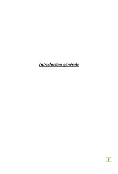 Logiciel de test de fonctionnement sous Labiew