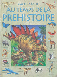 Au temps de la préhistoire