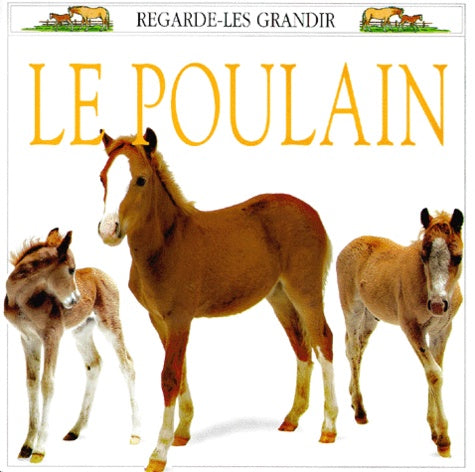 Le poulain