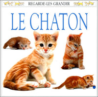 Le Chaton