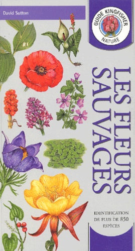 Les Fleurs Sauvages