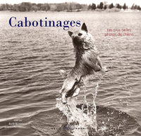 Cabotinages : les plus belles photos de chiens