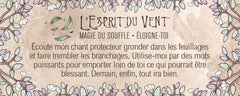 Le petit oracle du druide