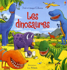 Les dinosaures - Sons et images