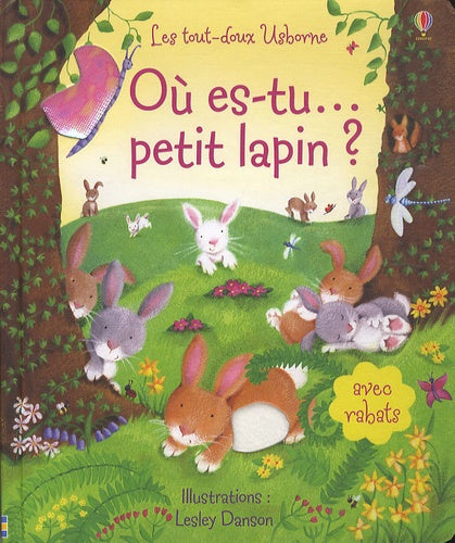 Où es-tu petit lapin ?