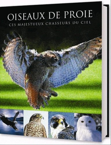Oiseaux de proie : Ces majestueux chasseurs du ciel