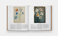 Fleurs