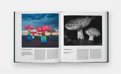 Champignons