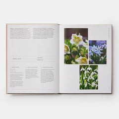 Jardiner au rythme des saisons: Conseils pour associer les plantes