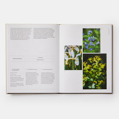 Jardiner au rythme des saisons: Conseils pour associer les plantes