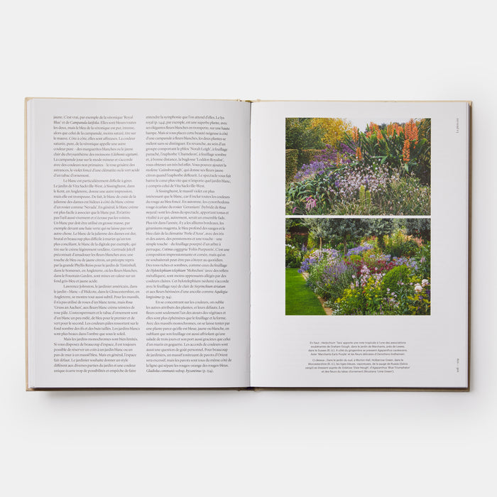 Jardiner au rythme des saisons: Conseils pour associer les plantes