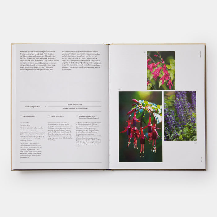 Jardiner au rythme des saisons: Conseils pour associer les plantes