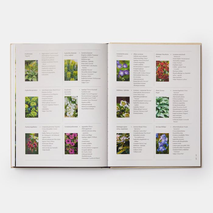 Jardiner au rythme des saisons: Conseils pour associer les plantes