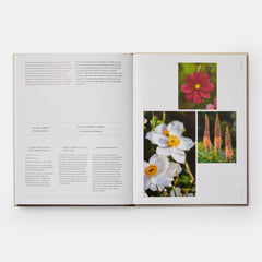 Jardiner au rythme des saisons: Conseils pour associer les plantes