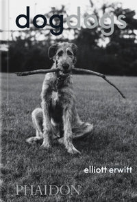 DogDogs