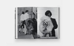 Quelle vie de chien