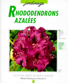 Rhododendrons et azalées: Des variétés pour le balcon, la terrasse et le jardin...