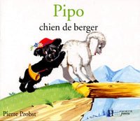 Pipo, chien de berger